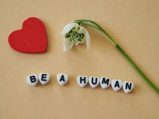 Auf einem hellbraunen Untergrund liegt ein rotes Herz und ein Schneeglöckchen, darunter steht auf...