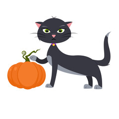 Cute black cat with a pumpkin on a white background. Vector illustration.