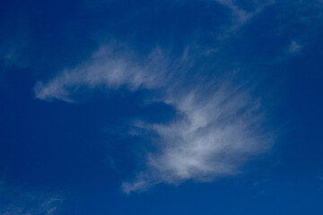 A spray of white clouds on a deep blue sky.