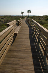 Obraz premium A scenic wooden boardwalk leading to the beach, surrounded by greenery and palm trees. The path creates a sense of serenity and direction towards the ocean horizon. Beach vacation concept.
