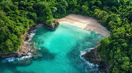 Aerial view of a tropical beach with turquoise water and lush green forest