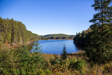 Obraz premium Blue lake surrounded by trees and a forest.