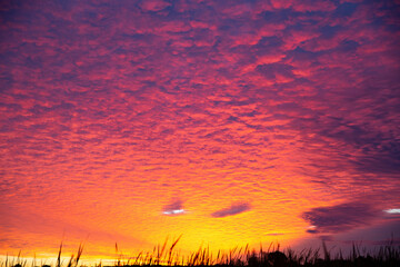 Fototapeta premium Colourful sunrise in Ontario with cool clouds.