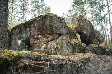 WWII Bunker Debris in Forest - A Fusion of Art and History