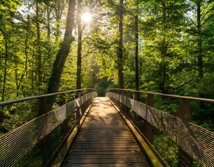 Obraz premium A wide angled shot of a bridge in the forest; sunlight coming through tree branches