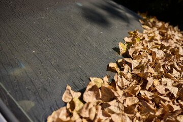 An Abandoned Car That Is Now Covered in Dust and Leaves, Showcasing Its Forgotten History