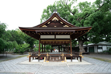 Naklejka premium 平野神社 拝殿と神木