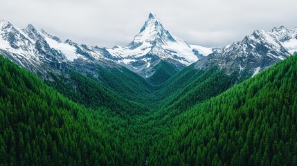 Obraz premium Majestic Swiss Alps with Lush Evergreen Forest Landscape