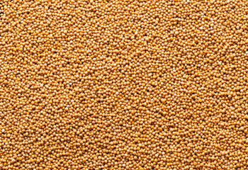 Heap of yellow mustard seeds - Healthy food.
