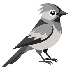 Beauty of Gray Jay High-Quality Vector Illustration