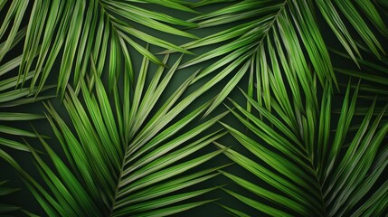 Lush Green Palm Fronds Tropical Foliage Texture Background