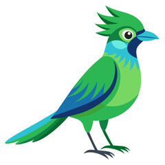 Fototapeta premium Green Jay Vector Illustration Perfect for Creative Use