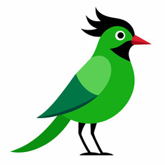 Green Jay Vector Illustration Perfect for Creative Use