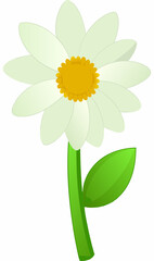 The illustration of a daisy
