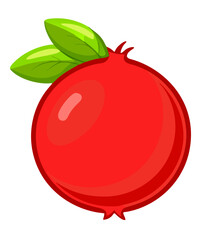Shiny Red Leaf Fruit Healthy Juice Pomegranate with Leaf






