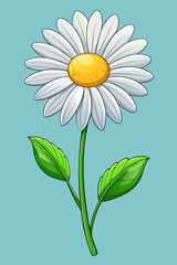 White Daisy Flower Vibrant Yellow Center Green





