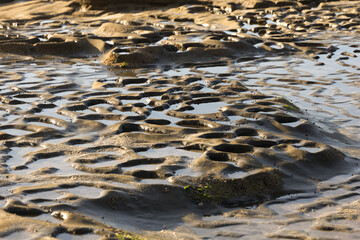 Tide pools by the beach