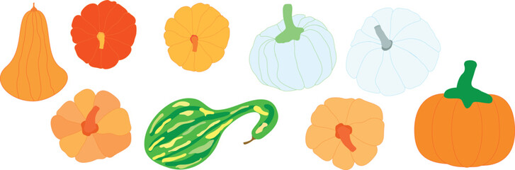 Different types of ornamental varieties of pumpkins hand drawn illustration decorative set. Hand drawn pumpkin motif set.