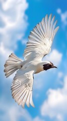 Bare-throated Bellbird Flying in Nature under Blue Sky, Photo Realistic, Wallpaper, Cover and Screen for Smartphone, PC, Laptop, 9:16 and 16:9 Format