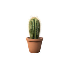 Cactus: A tall, spiky cactus in a terracotta pot. single, png, transparent background.