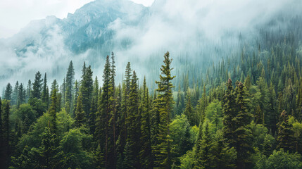 A guide to understanding how natural environments, like forests and mountains, can trigger fear due to isolation and the unknown.