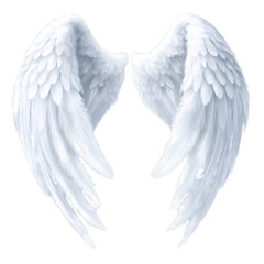 Elegant white angel wings on a transparent background.