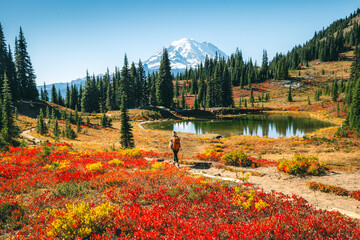 Woman is hiking on Naches Peak Loop Trail, autumn colors in Mt. Rainier National Park	
 - Powered by Adobe