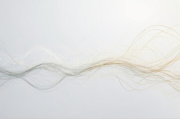 Abstract White Background, White Texture, White Image, White Color, White Canvas