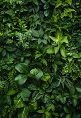 A lush, green background filled with various types of leafy plants, perfect for a nature-themed design