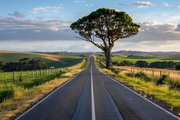 Fototapeta premium Asphalt road with lonely tree and blue sky with clouds.