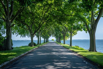Fototapeta premium Avenue of trees at Lake Como, Lombardy, Italy