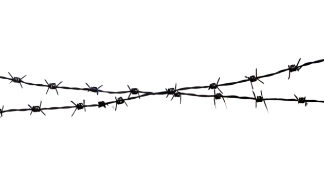 Sharp Barbed Wire Design on Clear Background - PNG