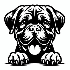 Fototapeta premium Peeking dogue de bordeaux dog vector silhouette illustration clip art element