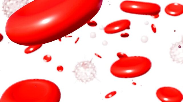 3d animation of a wave of erythrocytes, their concave discs carrying oxygen molecules, advances steadily towards the microscopic lens, while a smaller contingent of leukocytes, moves alongside them.