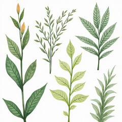 pattern