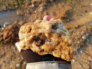 Rounded quartz secretion found on the shore of a reservoir, field photo