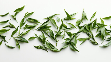 Fototapeta premium green tea leaves loose and deep green, scattered naturally across a white background