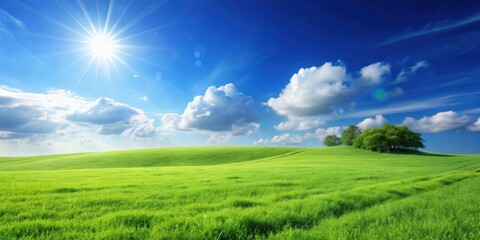 Obraz premium Beautiful landscape with clean green grass under a clear blue sky, beautiful, landscape, grass, clean, blue sky, scenery