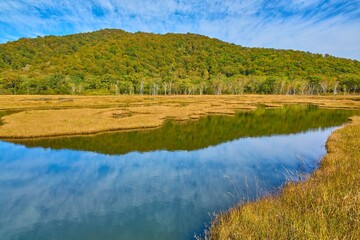 秋の尾瀬 上田代の牛首付近から北側の八海山(背中アブリ山)方面