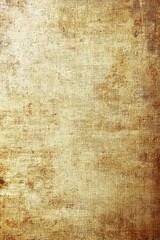 Fototapeta premium Grunge texture background