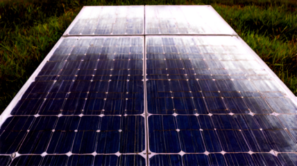 solar panels on the groung