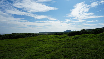 馬鼻崎周辺の草原