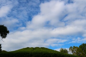 Obraz premium 爽やかな青空 秋の風景