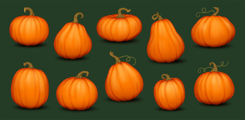 Ripe pumpkins with stems and curly vines realistic color icons set. Autumn farm vegetables harvest 3d objects illustrations collection on black