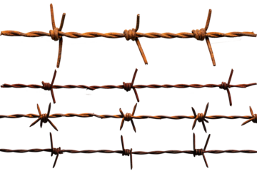 Barbed wire fence isolated on white background 