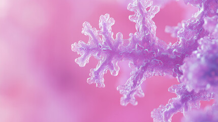 Fototapeta premium CloseUp of a Stunning Purple Snowflake on a Pink Background Resembling a Unique Plant Organism in Winter 