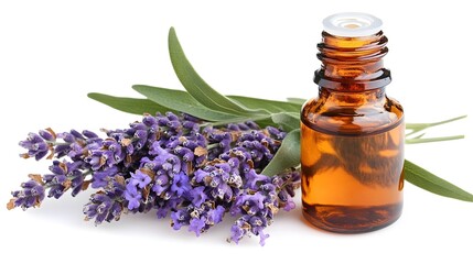 Pure Relaxation: Glass Bottle of Lavender Essential Oil with a Fresh Sprig, Isolated on a White Background