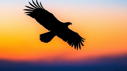 Eagle Silhouette Soaring in a Vibrant Sunset Sky - Nature Photography