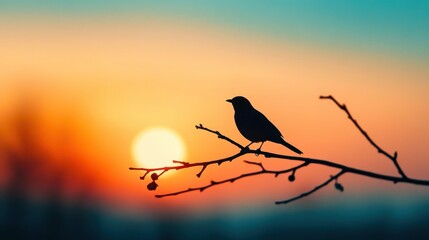 Obraz premium Silhouette of a Bird Perched on a Branch at Sunset.