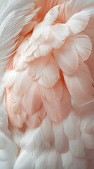 Obraz premium Close-up of soft white and pink